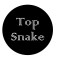 Top Snake