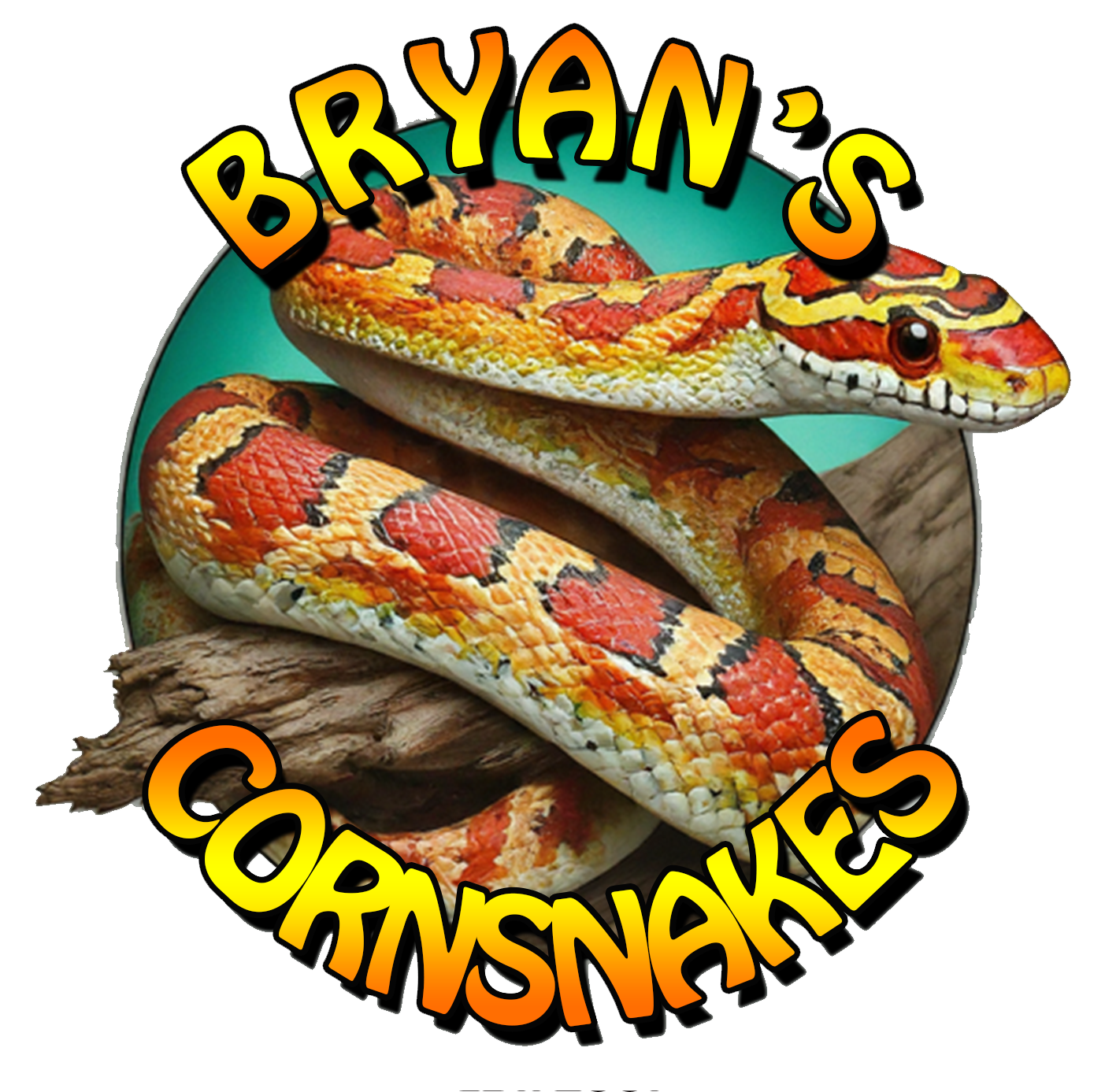 Bryan's Cornsnakes & Exotics logo