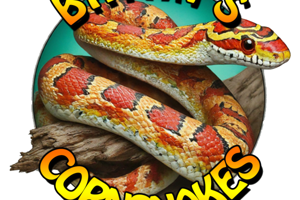 Bryan's Cornsnakes & Exotics