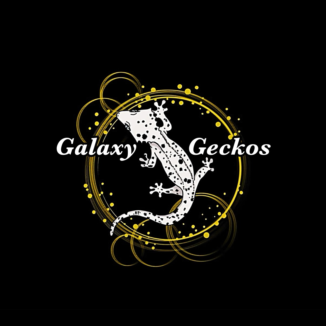 Galaxy Geckos Za logo