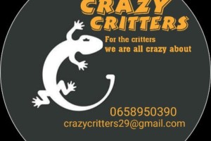CrazyCritters