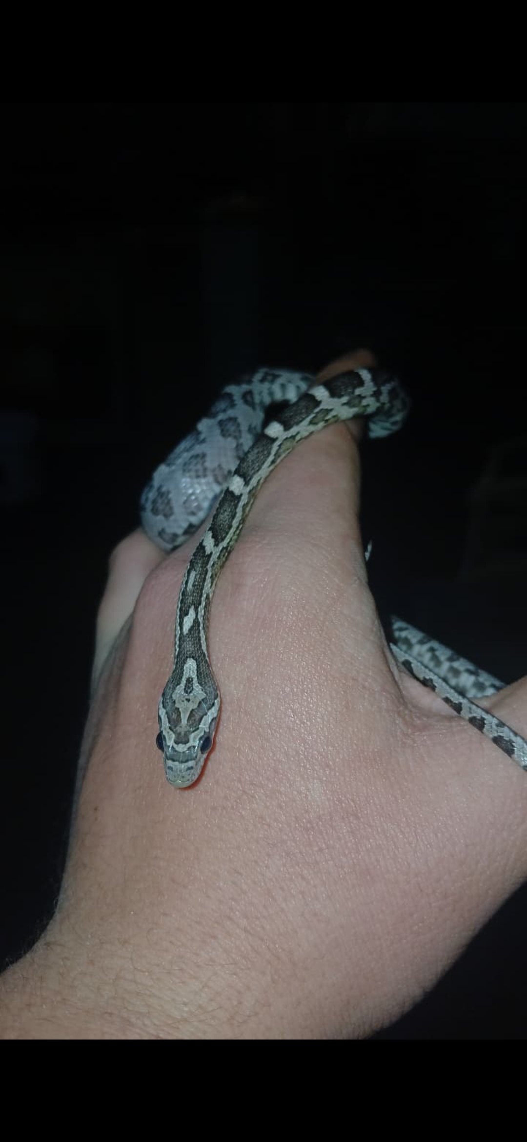 Image of Creed Venoms (Pty) Ltd 1