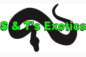 S & T's Exotics