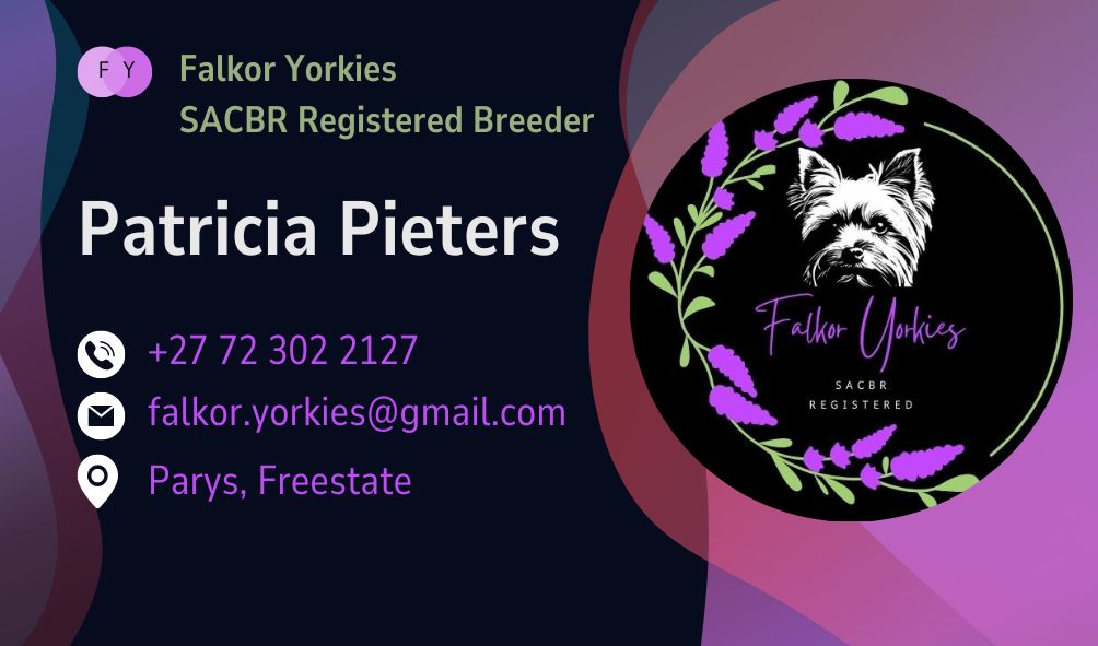 Falkor Yorkies cover image