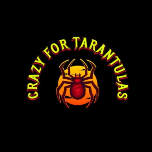 Crazy For Tarantulas logo