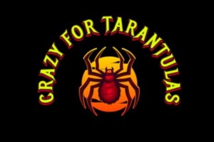 Crazy For Tarantulas