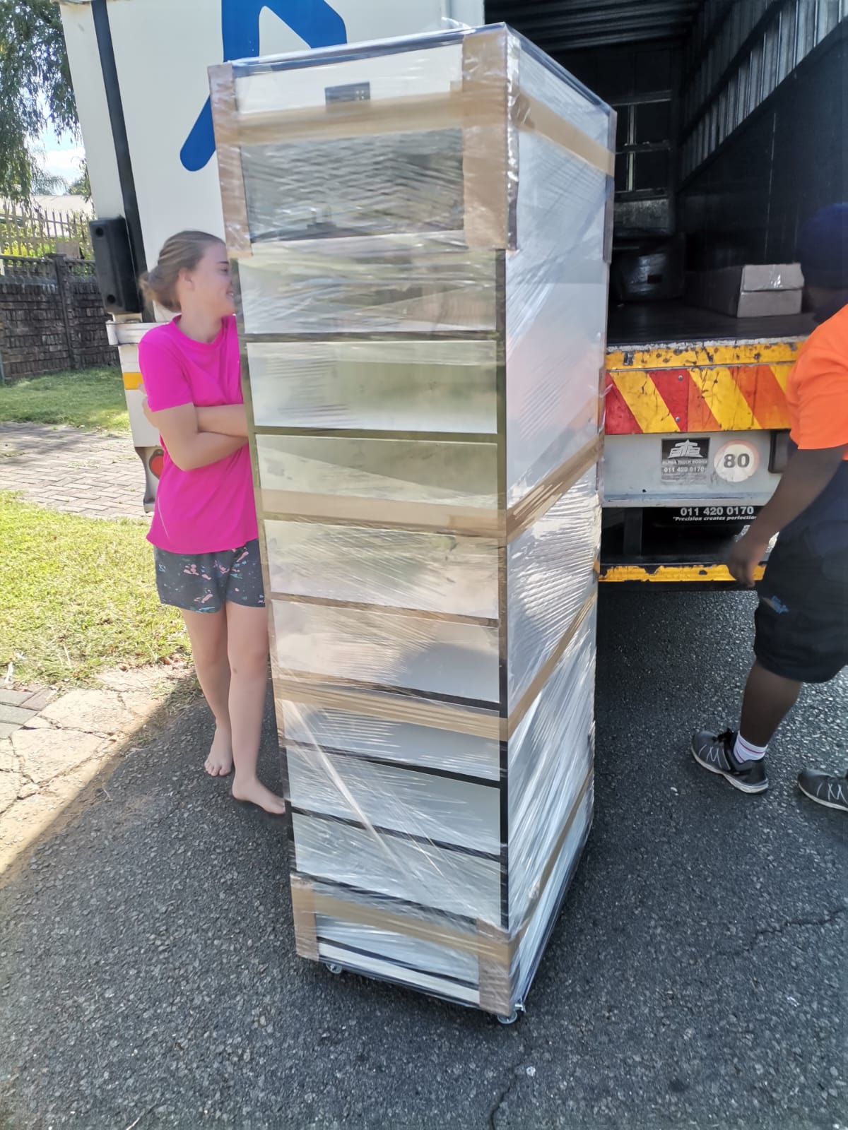 Image of Dynamic Reptiles 2