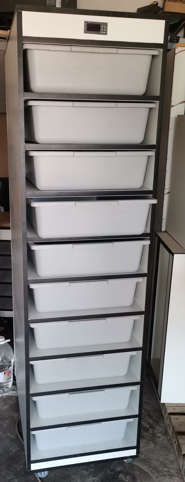 Image of Dynamic Reptiles 5