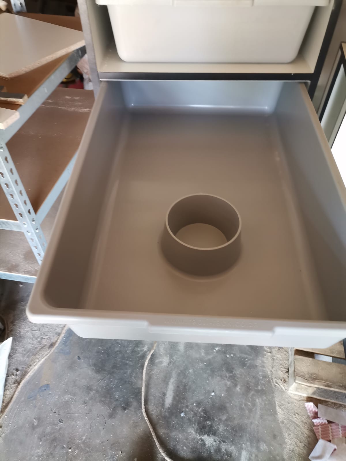 Image of Dynamic Reptiles 6