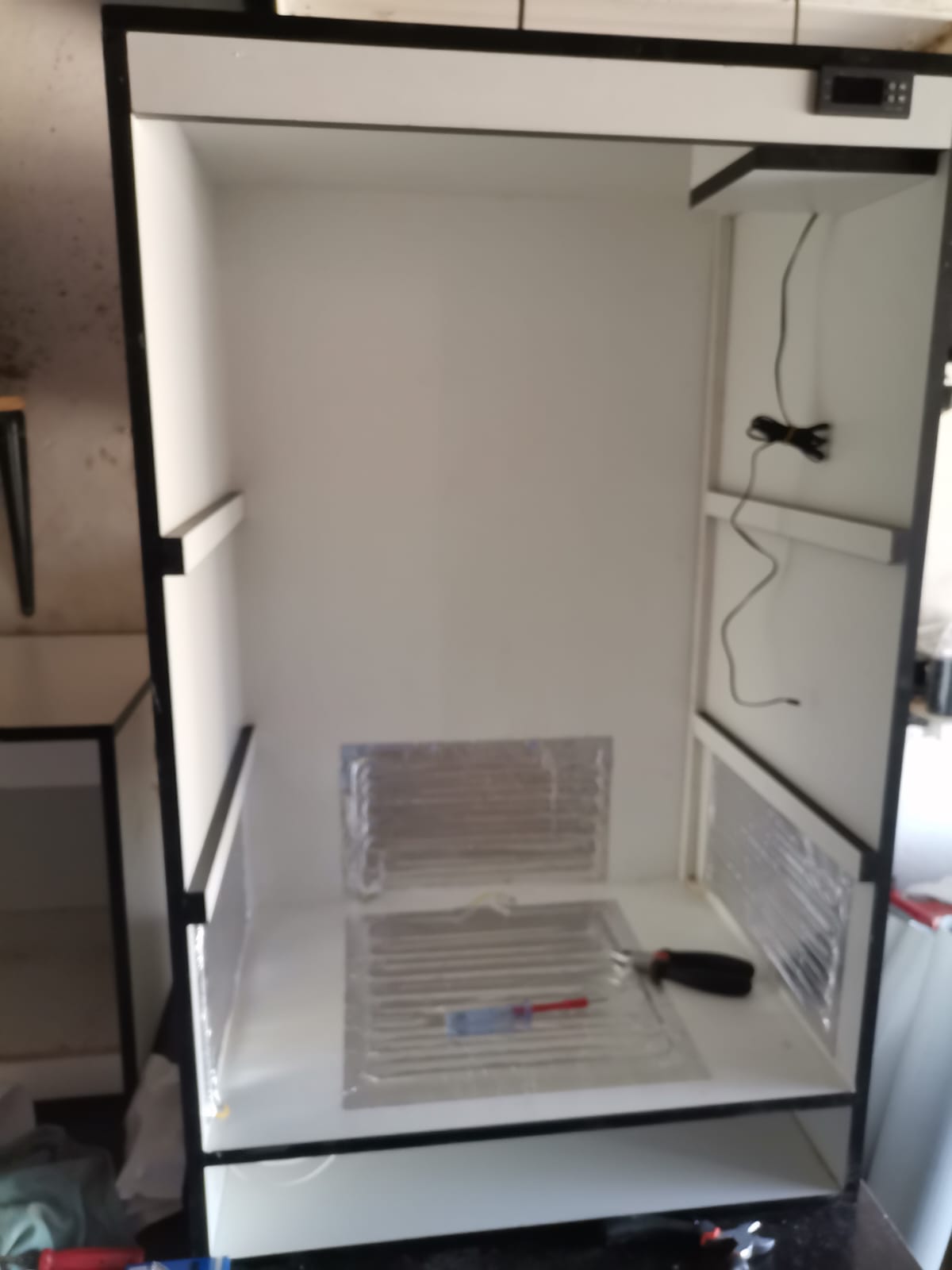 Image of Dynamic Reptiles 7