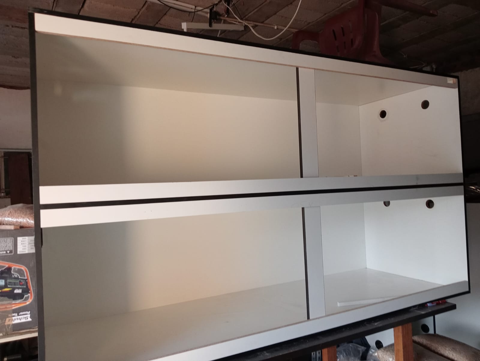 Image of Dynamic Reptiles 8