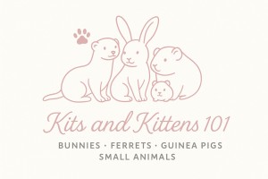 Kits and Kittens 101