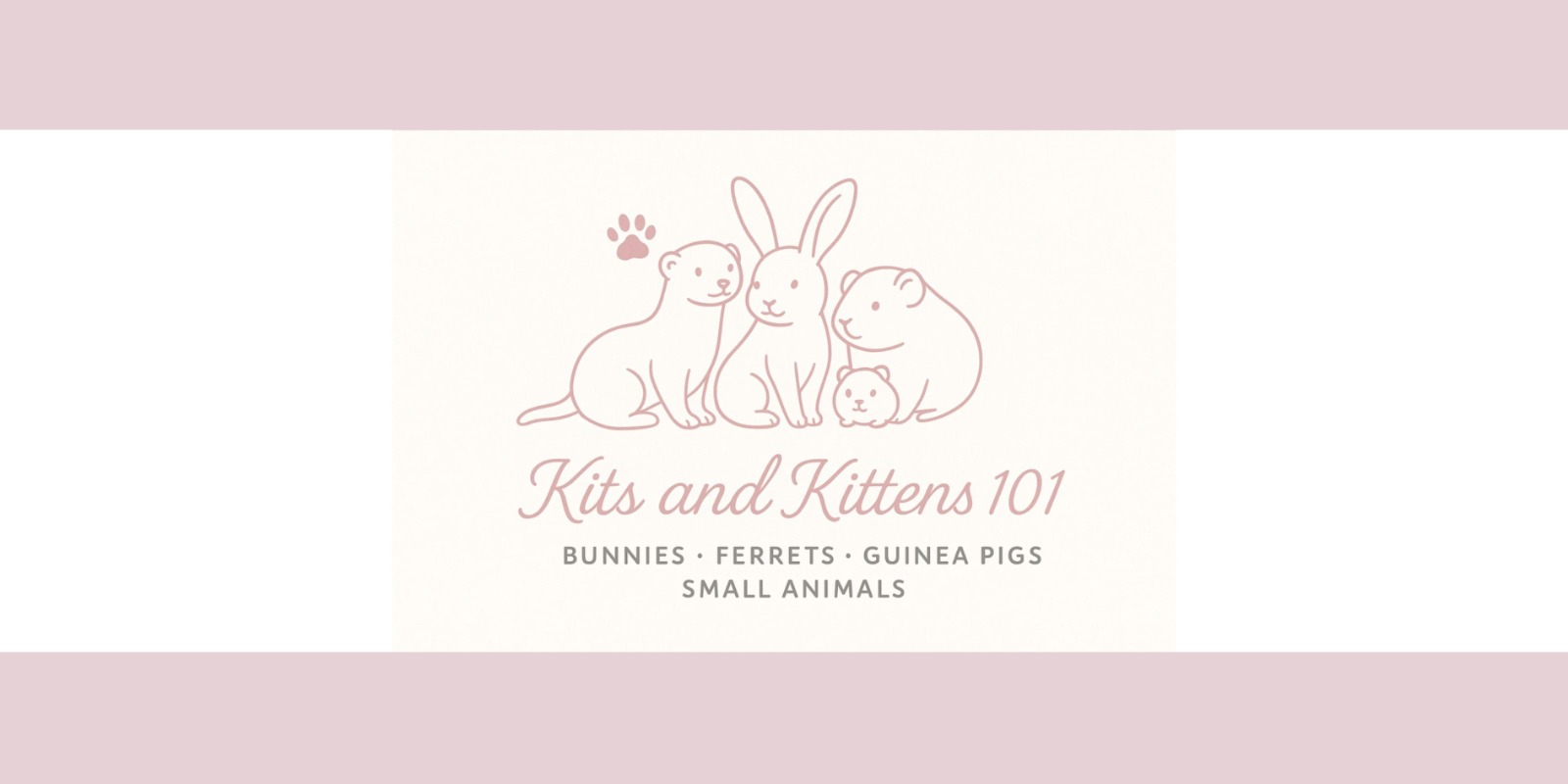 Kits and Kittens 101 cover