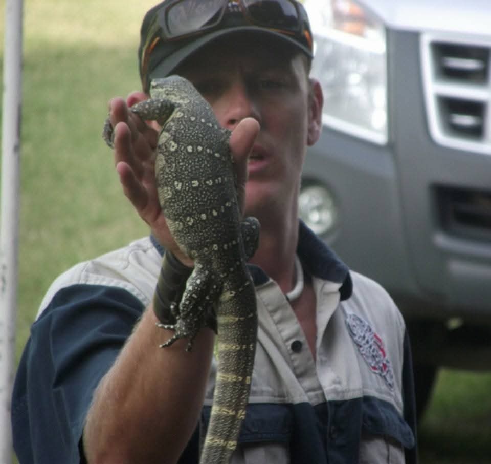 Image of Predator Reptile and Animals 1