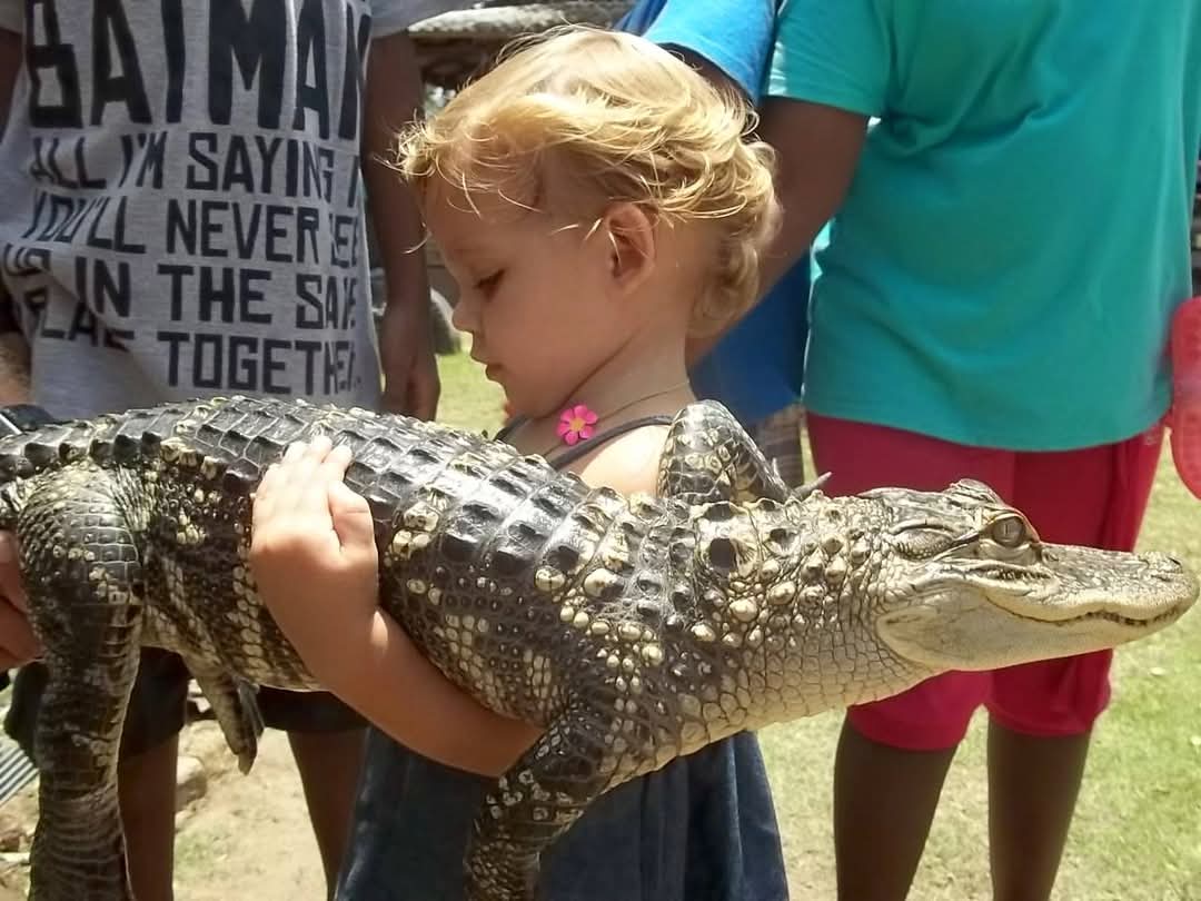 Image of Predator Reptile and Animals 2