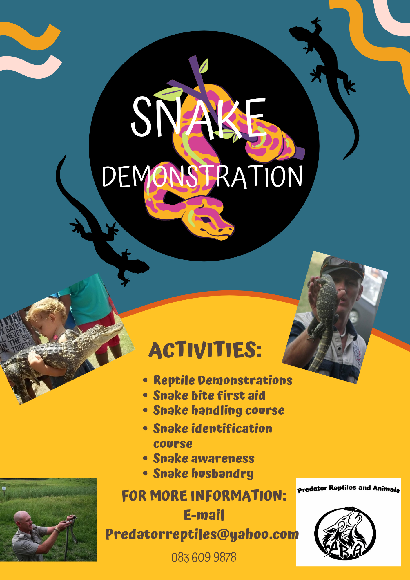 Image of Predator Reptile and Animals 5