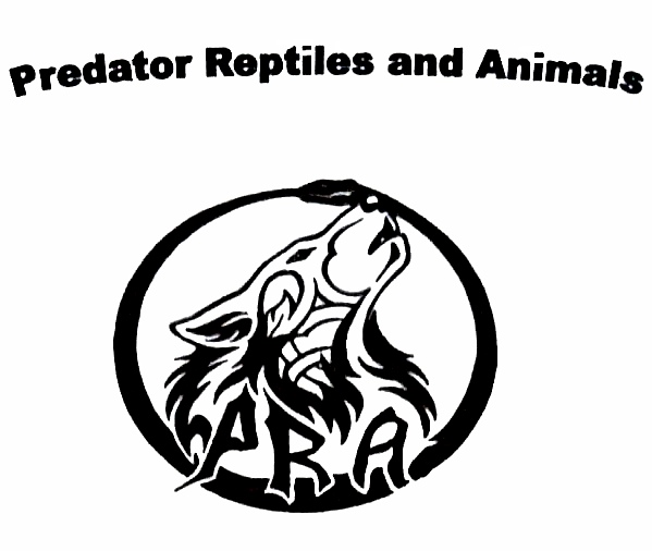 Predator Reptile and Animals logo