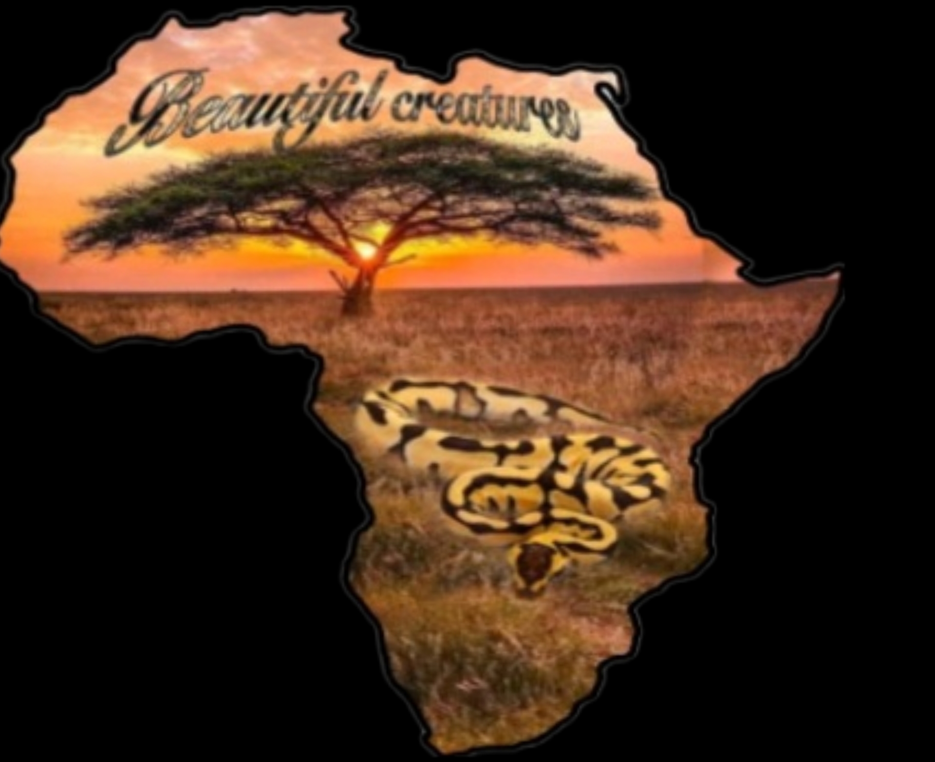 Beautiful Creatures logo