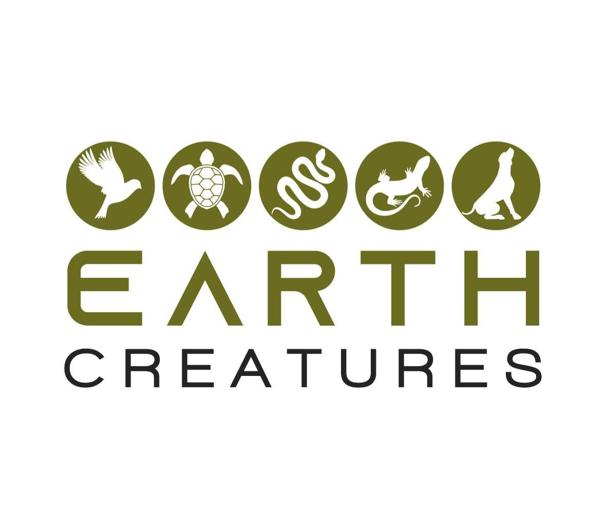 EARTH Creatures cover image